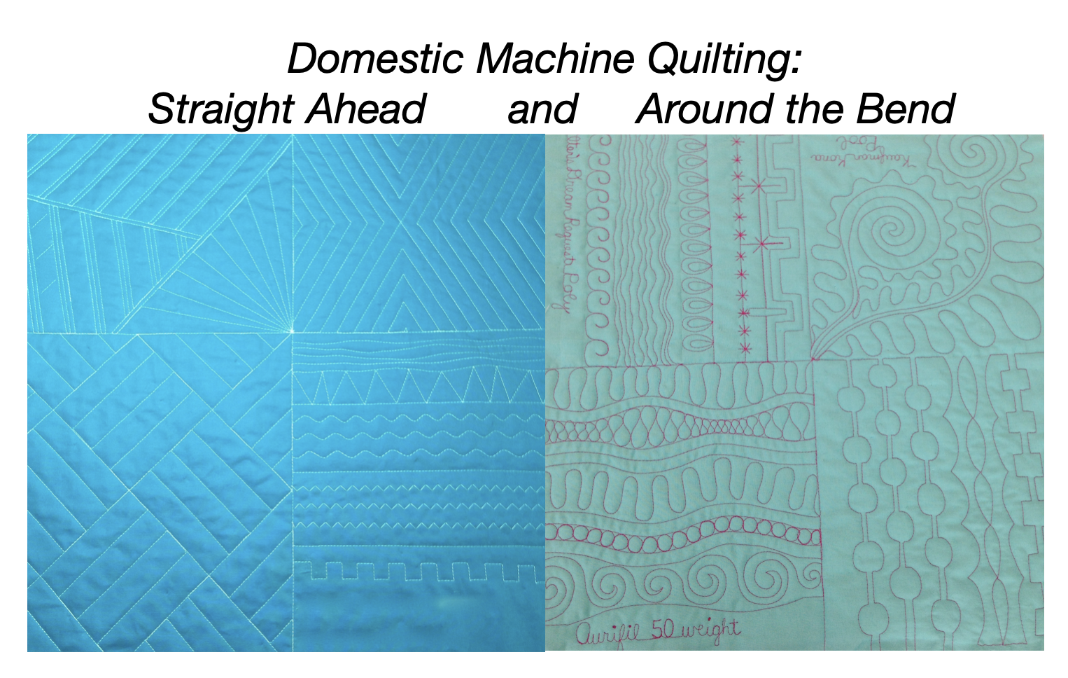 M2M-09-September 24-Domestic Machine Quilting with Linda Hungerford