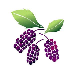 15-Mulberry Quilters (2026)