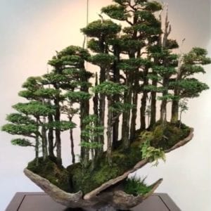 02-Big Cypress Quilters (2026)