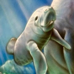 13-Manatee Quilters (2026)