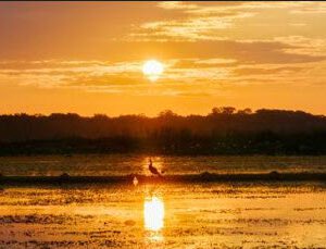 28-Lakeside Quilters (2026)